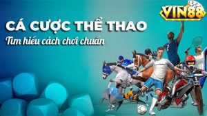 Cá cược thể thao Vin88